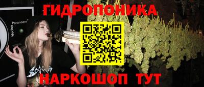 спайс Краснознаменск